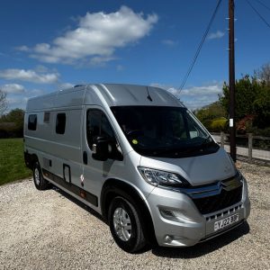 Wildax Europa - XL (2022 Plate)